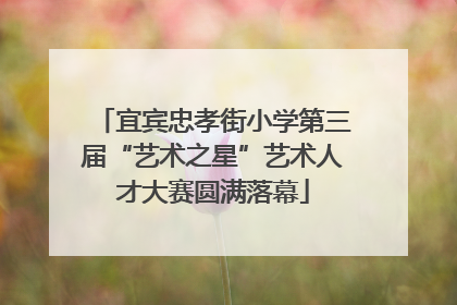 宜宾忠孝街小学第三届“艺术之星”艺术人才大赛圆满落幕