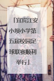 宜宾江安小坝小学第五届校园足球联赛顺利举行