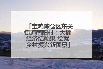 宝鸡陈仓区东关街道南阳村：大棚经济结硕果 绘就乡村振兴新图景
