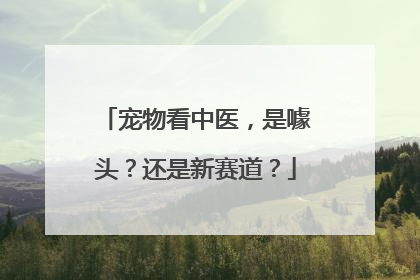 宠物看中医，是噱头？还是新赛道？