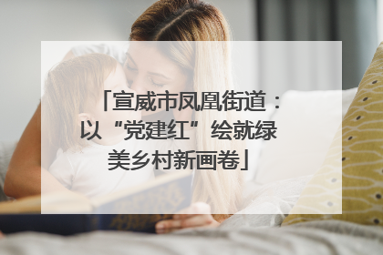 宣威市凤凰街道：以“党建红”绘就绿美乡村新画卷
