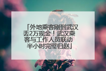 外地乘客刚到武汉丢2万现金！武汉乘客与工作人员联动 半小时完璧归赵