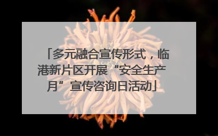 多元融合宣传形式，临港新片区开展“安全生产月”宣传咨询日活动