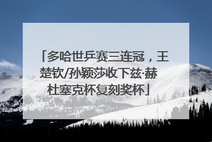 多哈世乒赛三连冠，王楚钦/孙颖莎收下兹·赫杜塞克杯复刻奖杯