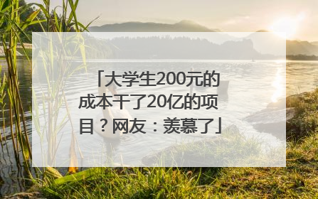 大学生200元的成本干了20亿的项目？网友：羡慕了