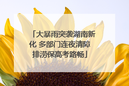 大暴雨突袭湖南新化 多部门连夜清障排涝保高考路畅