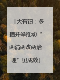 大有镇：多措并举推动“两清两改两治理”见成效