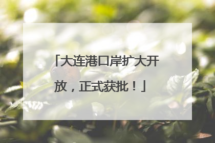 大连港口岸扩大开放，正式获批！