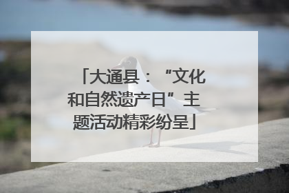 大通县：“文化和自然遗产日”主题活动精彩纷呈