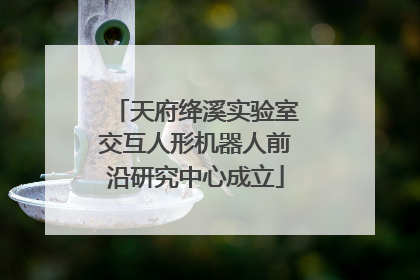天府绛溪实验室交互人形机器人前沿研究中心成立