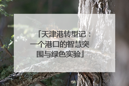 天津港转型记：一个港口的智慧突围与绿色实验
