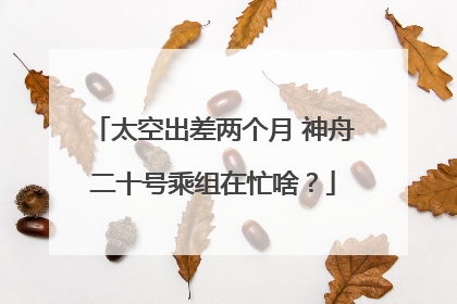 太空出差两个月 神舟二十号乘组在忙啥？