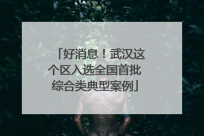 好消息！武汉这个区入选全国首批综合类典型案例