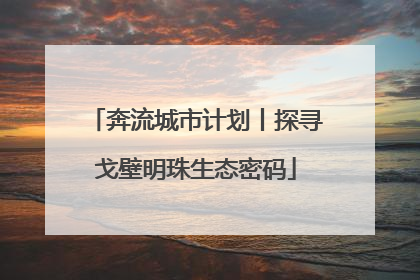 奔流城市计划丨探寻戈壁明珠生态密码