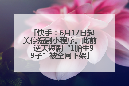 快手：6月17日起关停短剧小程序。此前一逆天短剧“1胎生99子”被全网下架
