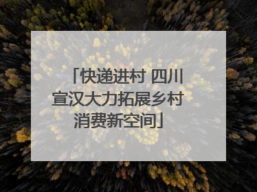 快递进村 四川宣汉大力拓展乡村消费新空间