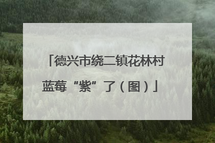德兴市绕二镇花林村蓝莓“紫”了（图）