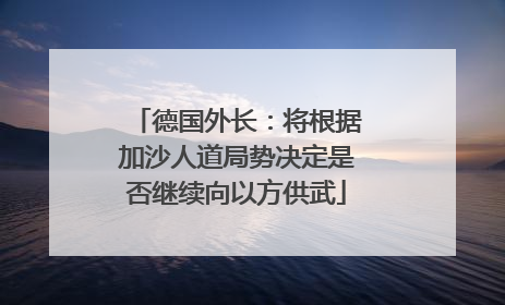 德国外长：将根据加沙人道局势决定是否继续向以方供武