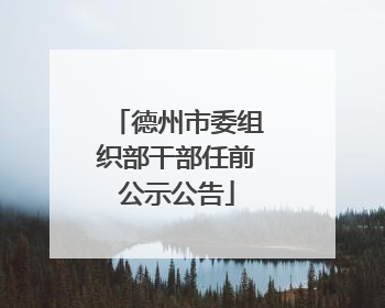 德州市委组织部干部任前公示公告