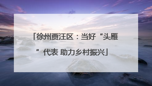 徐州贾汪区：当好“头雁”代表 助力乡村振兴