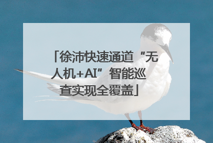 徐沛快速通道“无人机+AI”智能巡查实现全覆盖