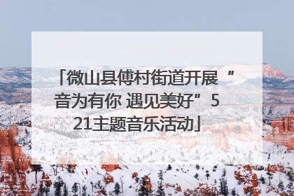 微山县傅村街道开展“音为有你 遇见美好”521主题音乐活动