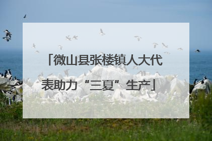 微山县张楼镇人大代表助力“三夏”生产