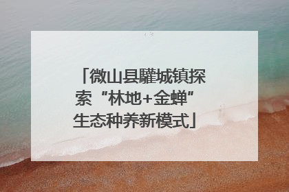 微山县驩城镇探索“林地+金蝉”生态种养新模式