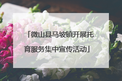 微山县马坡镇开展托育服务集中宣传活动
