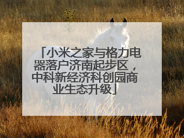 小米之家与格力电器落户济南起步区，中科新经济科创园商业生态升级