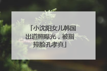 小沈阳女儿韩国出道照曝光，被指撞脸孔孝真