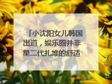 小沈阳女儿韩国出道，娱乐圈并非星二代扎堆的舒适区｜文艺评论