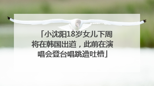 小沈阳18岁女儿下周将在韩国出道，此前在演唱会登台唱跳遭吐槽