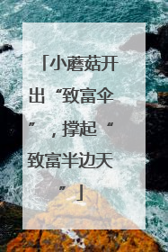 小蘑菇开出“致富伞”，撑起“致富半边天”