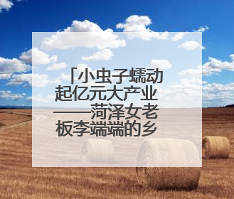 小虫子蠕动起亿元大产业——菏泽女老板李端端的乡村故事