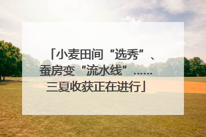小麦田间“选秀”、蚕房变“流水线”……三夏收获正在进行