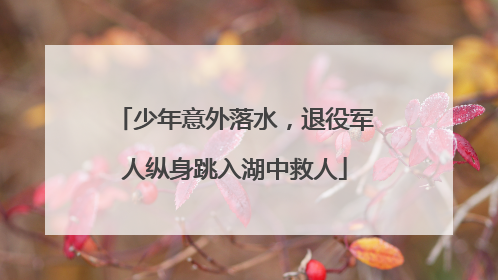 少年意外落水，退役军人纵身跳入湖中救人