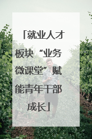 就业人才板块“业务微课堂”赋能青年干部成长