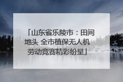 山东省乐陵市：田间地头 全市植保无人机劳动竞赛精彩纷呈