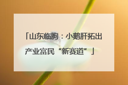 山东临朐：小鹅肝拓出产业富民“新赛道”