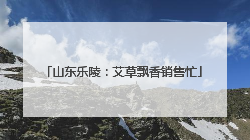 山东乐陵：艾草飘香销售忙