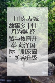 山东友城故事多｜牡丹为媒 经贸与教育并举 菏泽国际“朋友圈”扩容升级