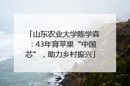 山东农业大学陈学森：43年育苹果“中国芯”，助力乡村振兴