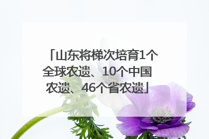 山东将梯次培育1个全球农遗、10个中国农遗、46个省农遗