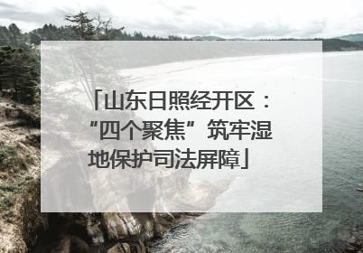 山东日照经开区：“四个聚焦”筑牢湿地保护司法屏障