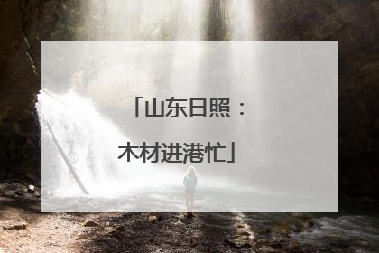山东日照：木材进港忙