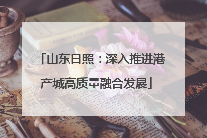 山东日照：深入推进港产城高质量融合发展
