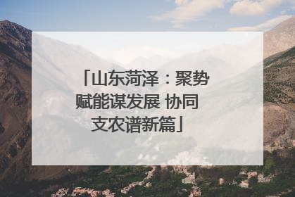 山东菏泽：聚势赋能谋发展 协同支农谱新篇
