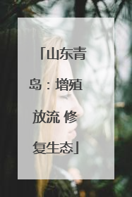 山东青岛：增殖放流 修复生态