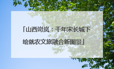山西岢岚：千年宋长城下绘就农文旅融合新图景
